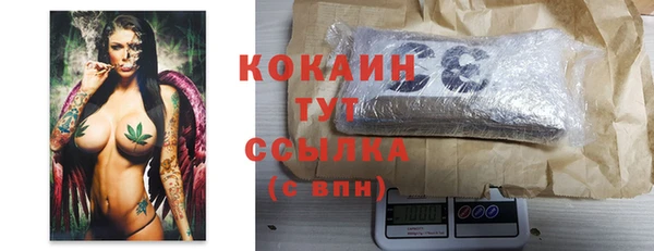 дмт Аркадак