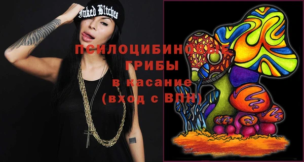 дмт Аркадак