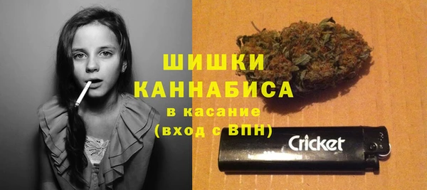 дмт Аркадак