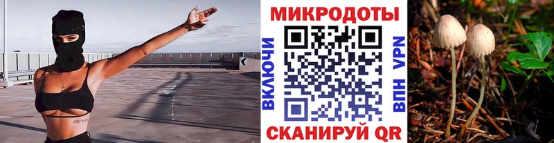 Галлюциногенные грибы прущие грибы  наркошоп  Сухой Лог 